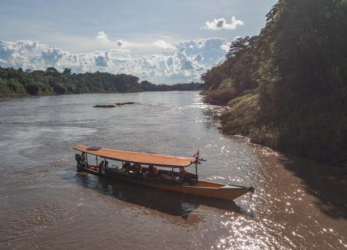 Tambopata National Reserve Hacienda Conception