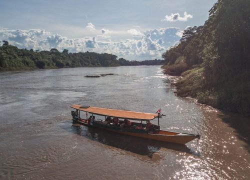 Tambopata & Machu Picchu Jungle